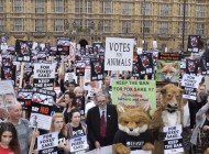 Britain Avoids Foxit