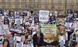 Britain Avoids Foxit
